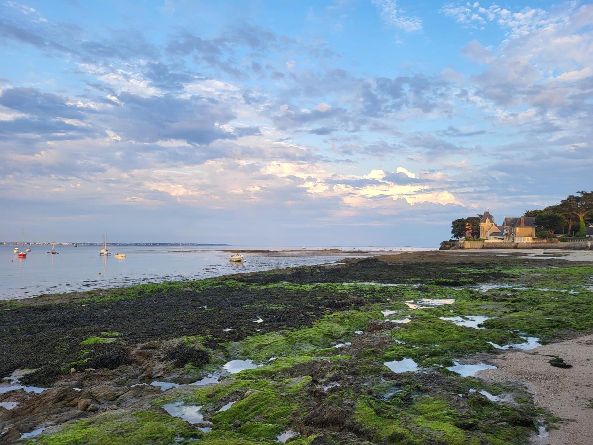 Maison Proche Plage Du Pouliguen Baie De La Baule Villa Le Pouliguen Dış mekan fotoğraf